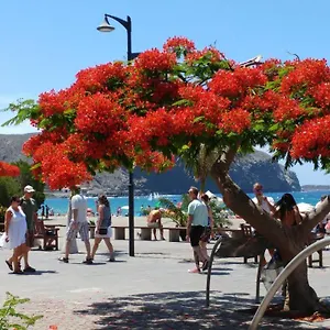 https://casa-adriano-los-cristianos.tenerifehoteles.net